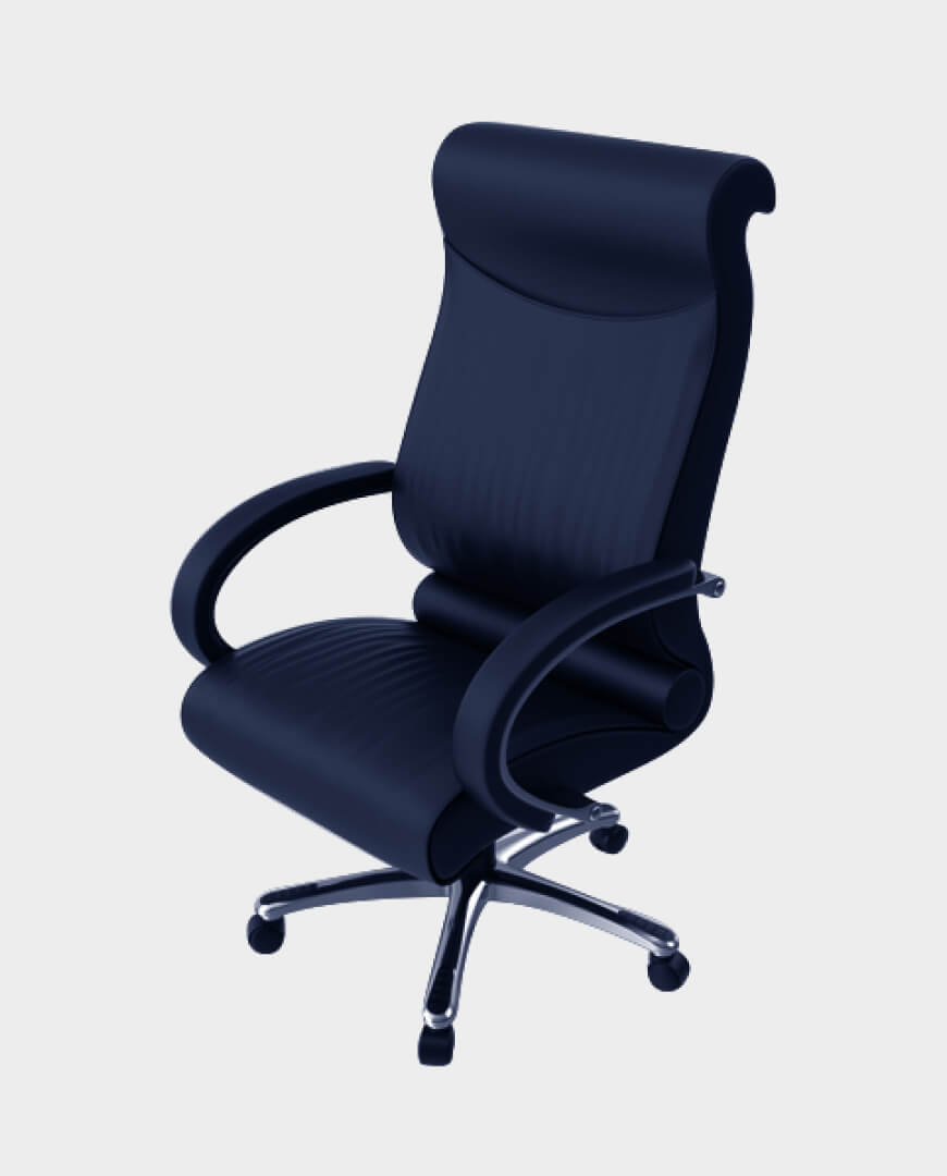 Ergonomic Office Chair