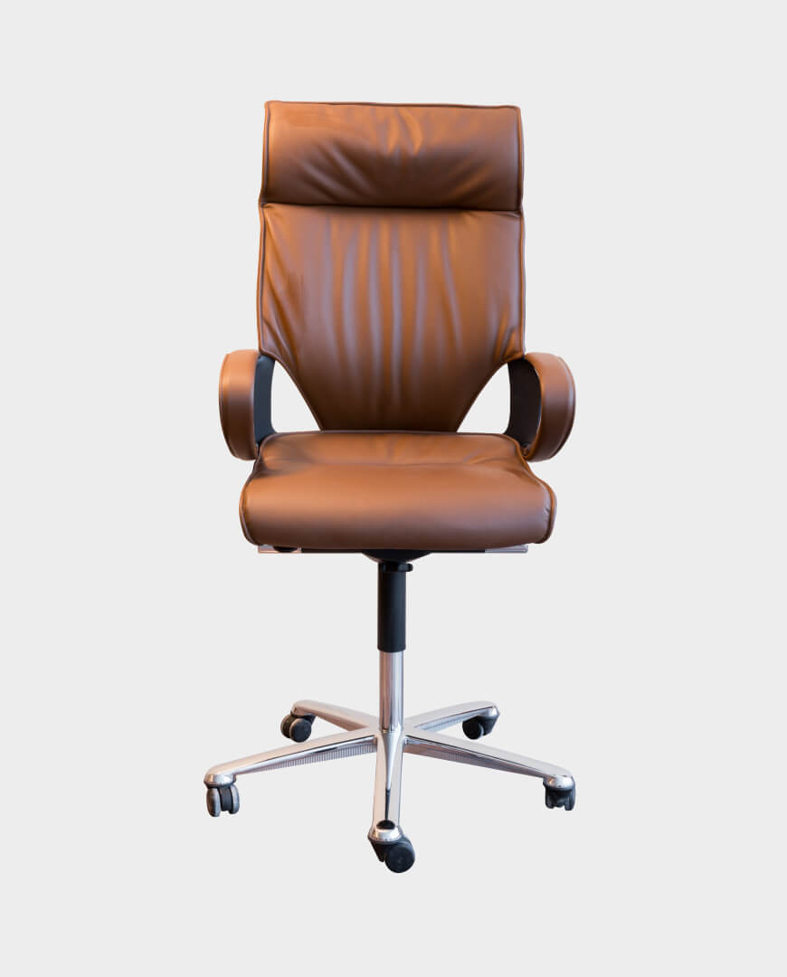 Ergonomic Chair